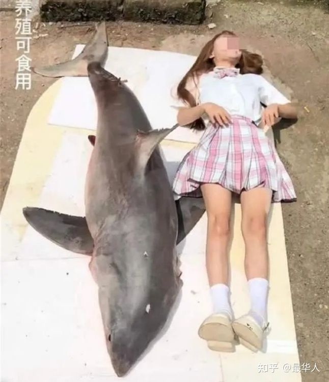 an ca map trang anh 2