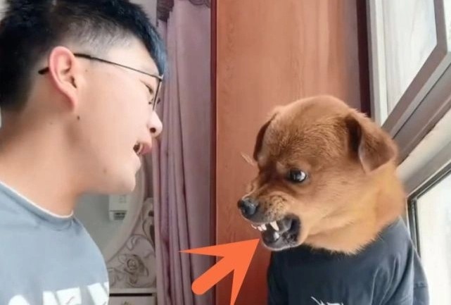 Blogger trieu fan o Trung Quoc nho rang cho de cau view hinh anh