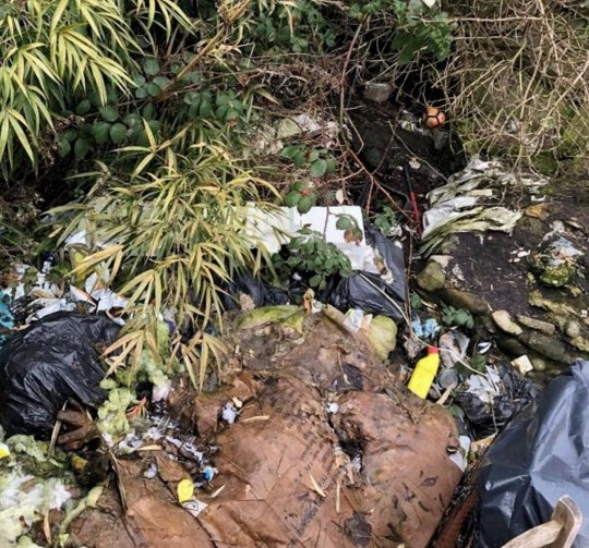 tich rac trong nha anh 1