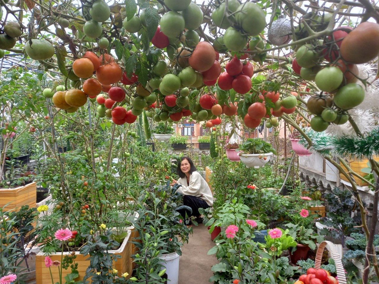 vuon san thuong anh 2