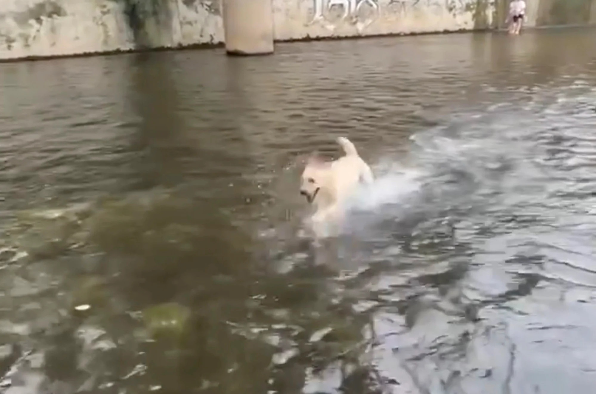 Tong tien chu thu cung anh 3