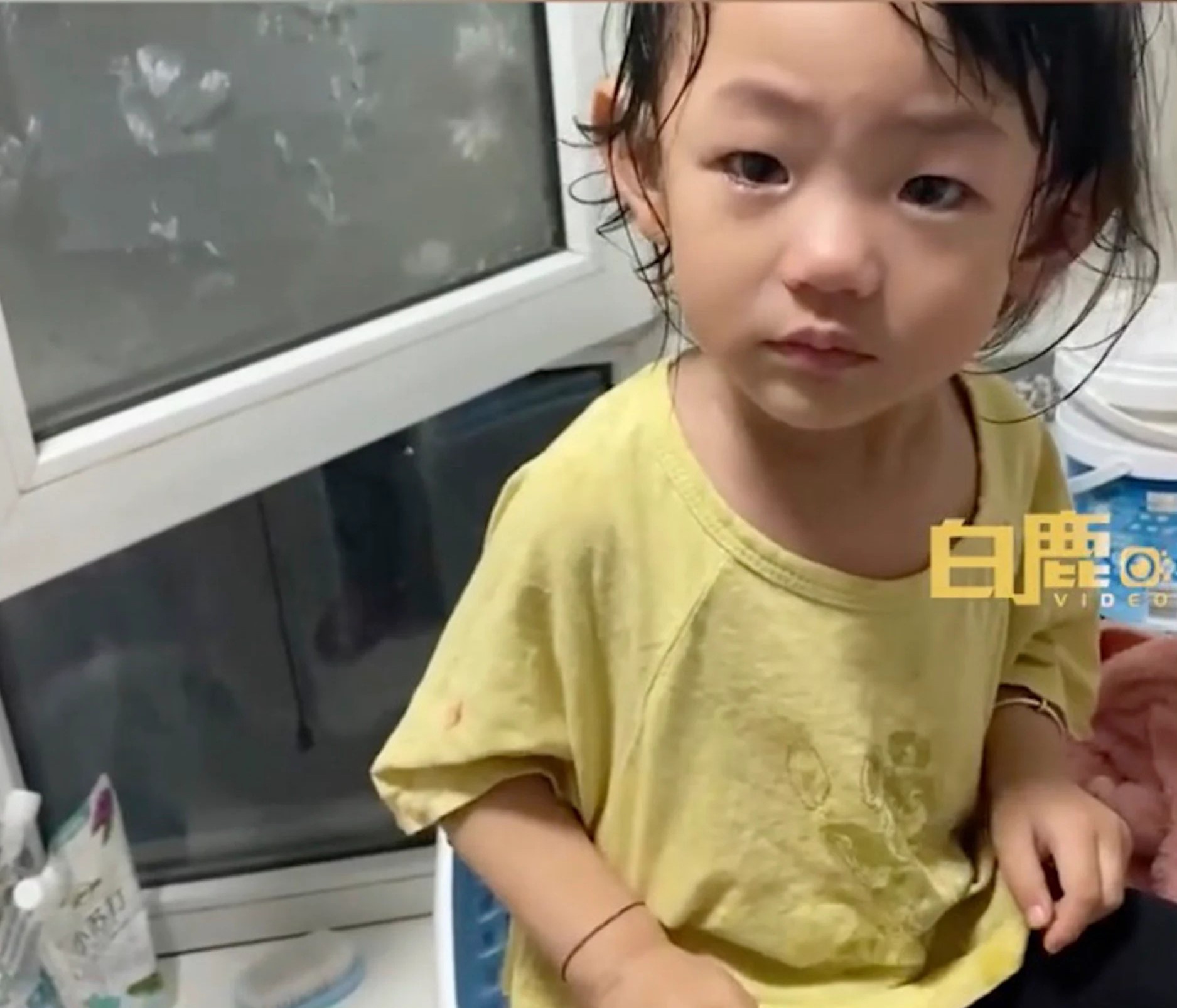 giao duc gioi tinh anh 1