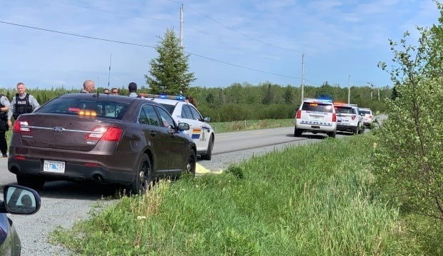 cho pitbull can nguoi anh 2