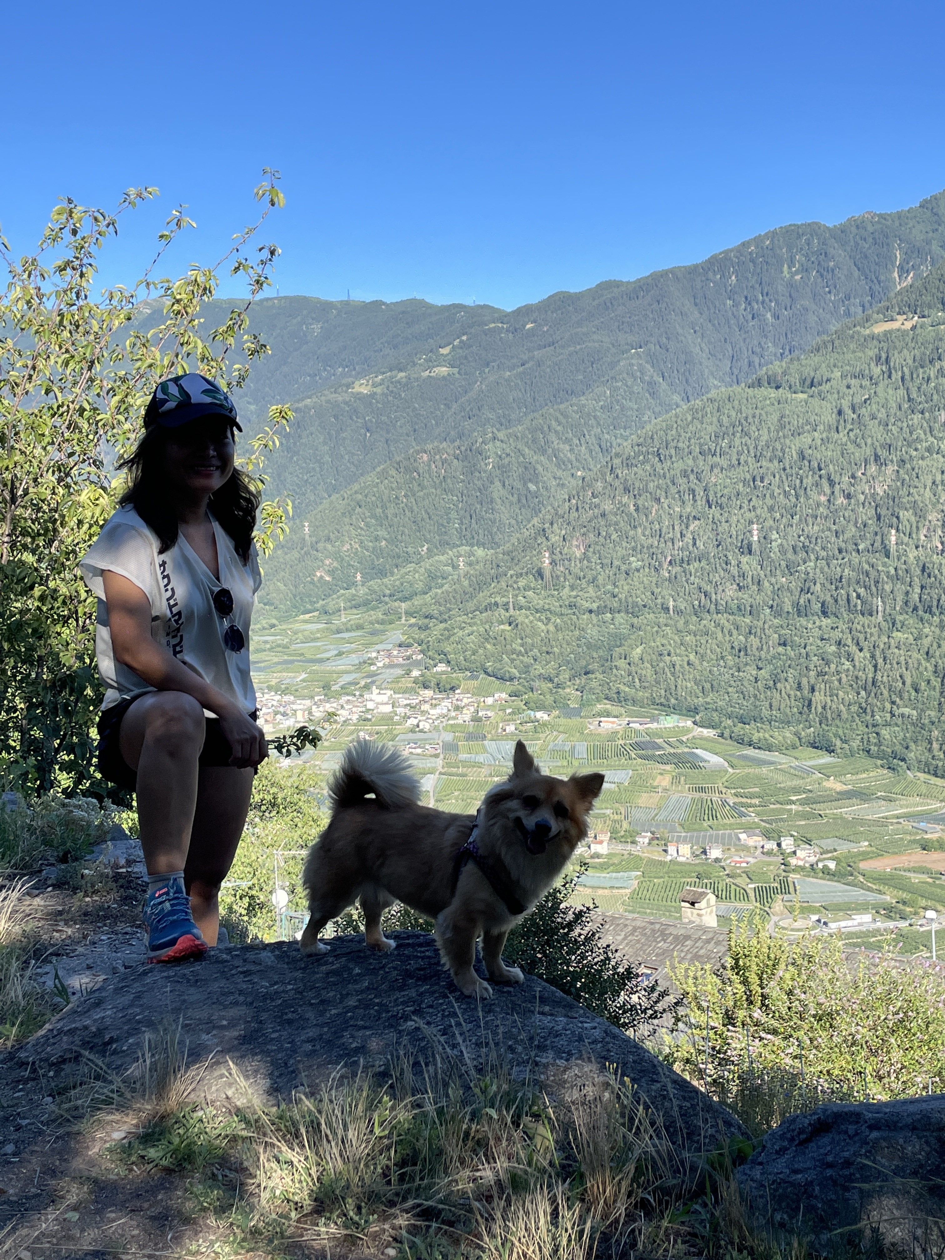 Chó đi máy bay ảnh 7 Cho di may bay anh 7