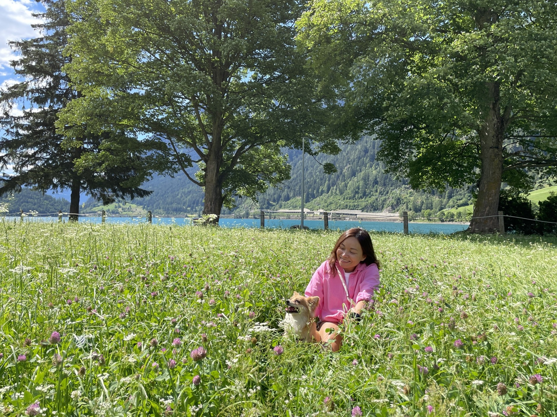 Chó đi máy bay ảnh 5 Cho di may bay anh 5