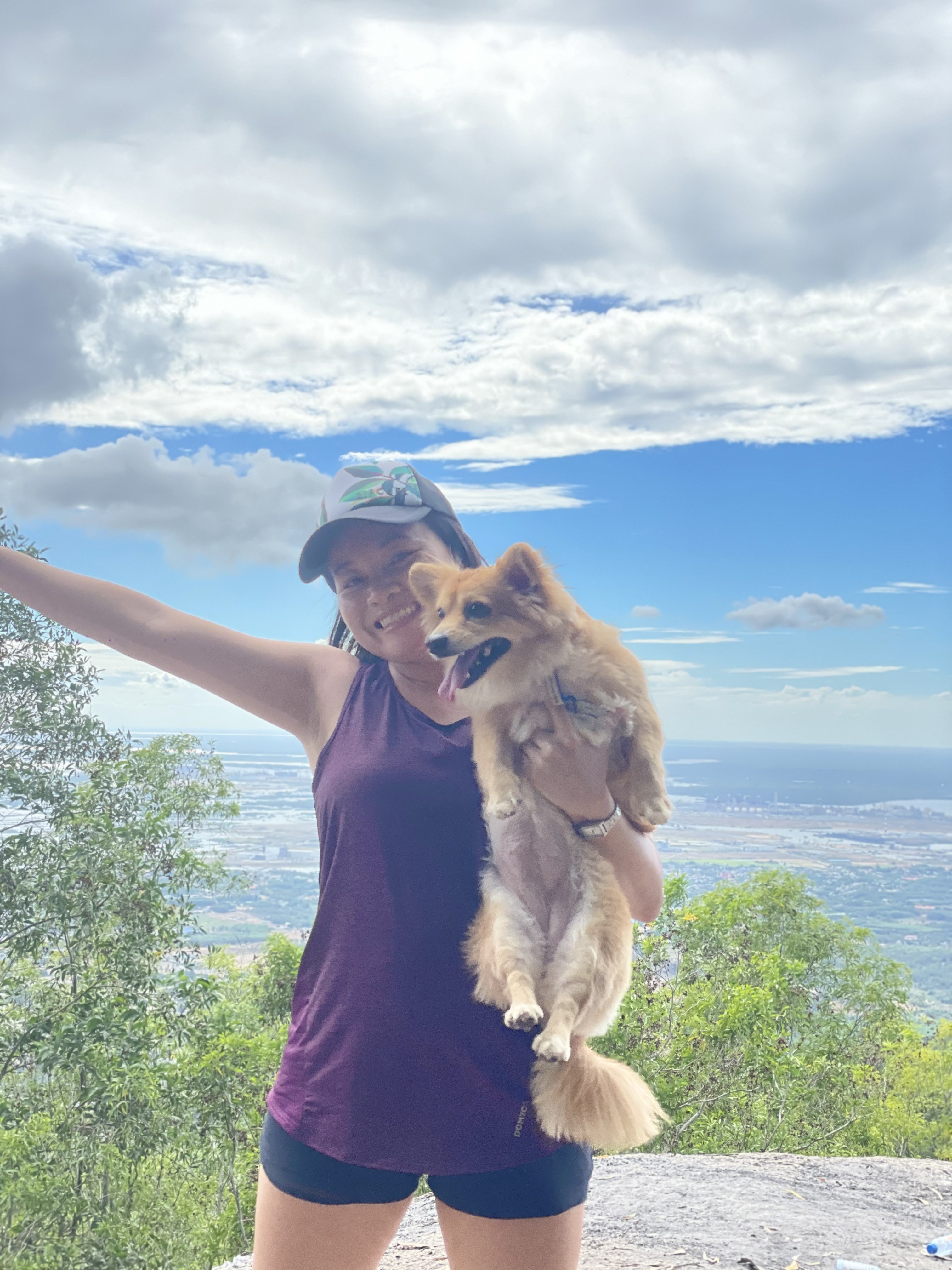 Chó đi máy bay ảnh 2 Cho di may bay anh 2