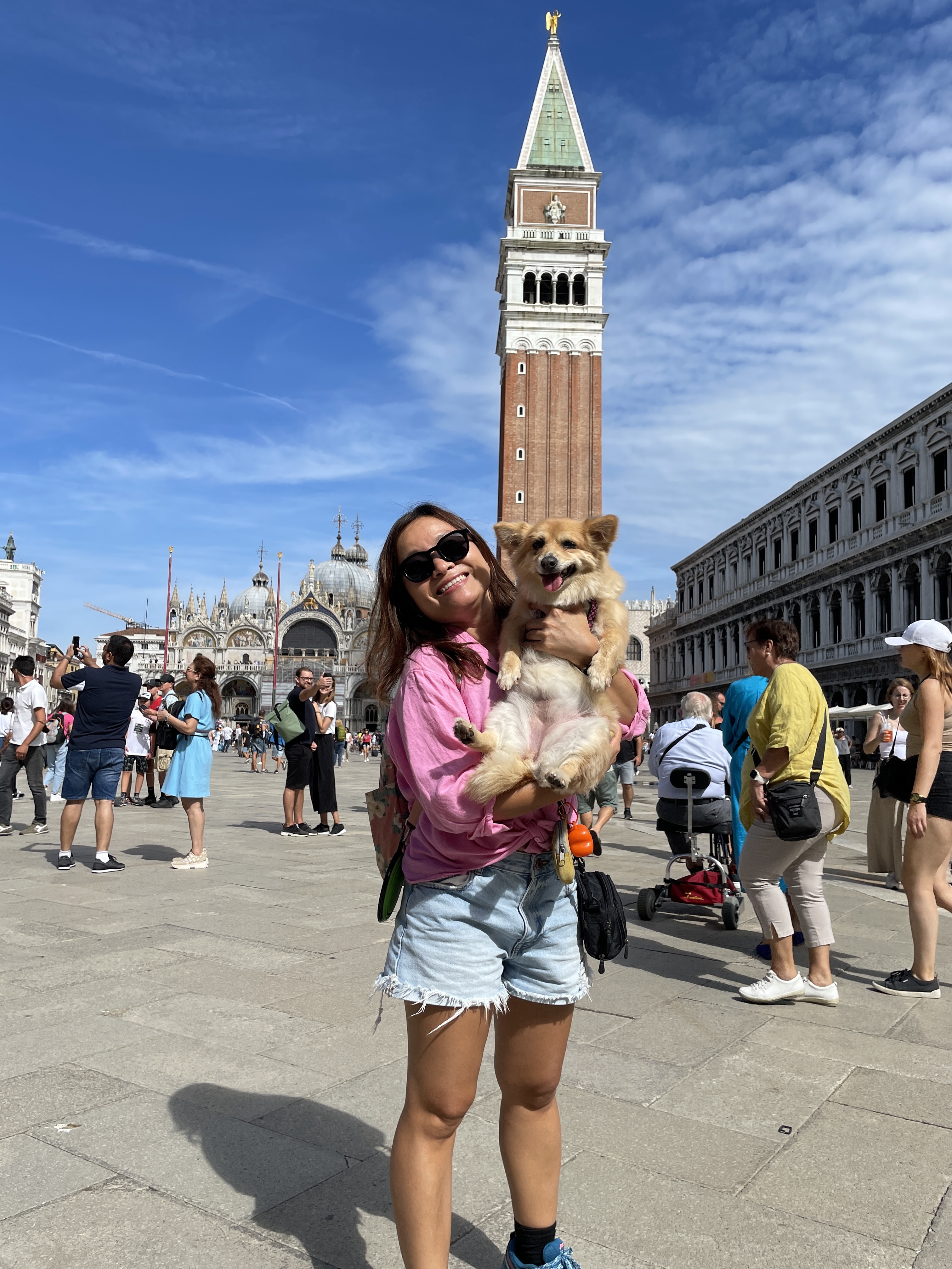 Chó đi máy bay ảnh 4 Cho di may bay anh 4