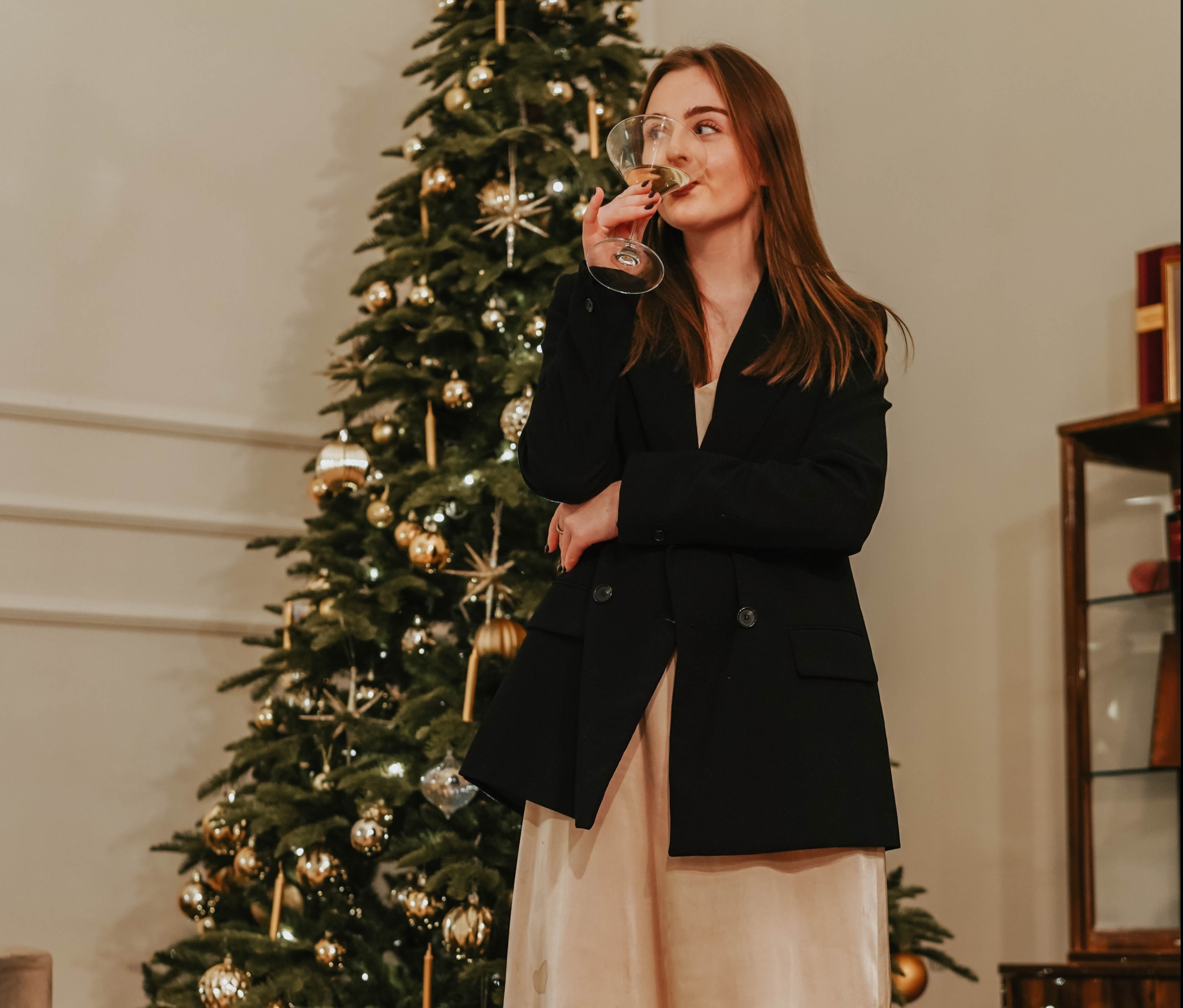 tiec giang sinh anh 1