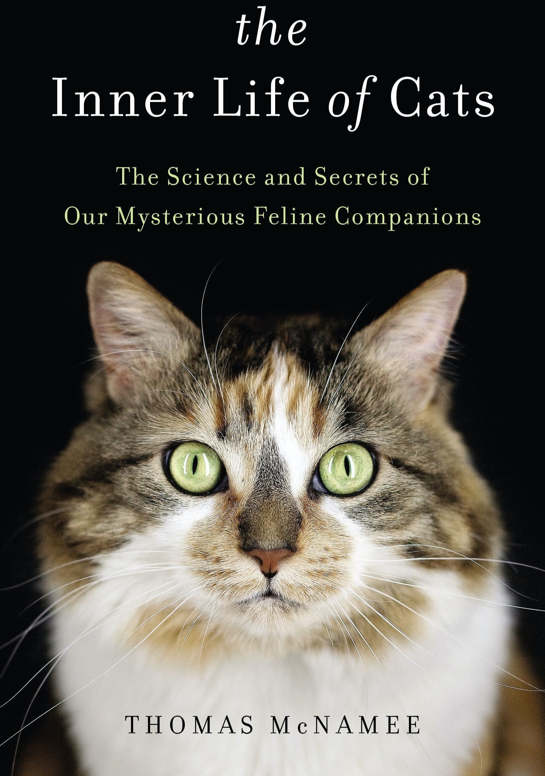 khoa hoc ve meo anh 1