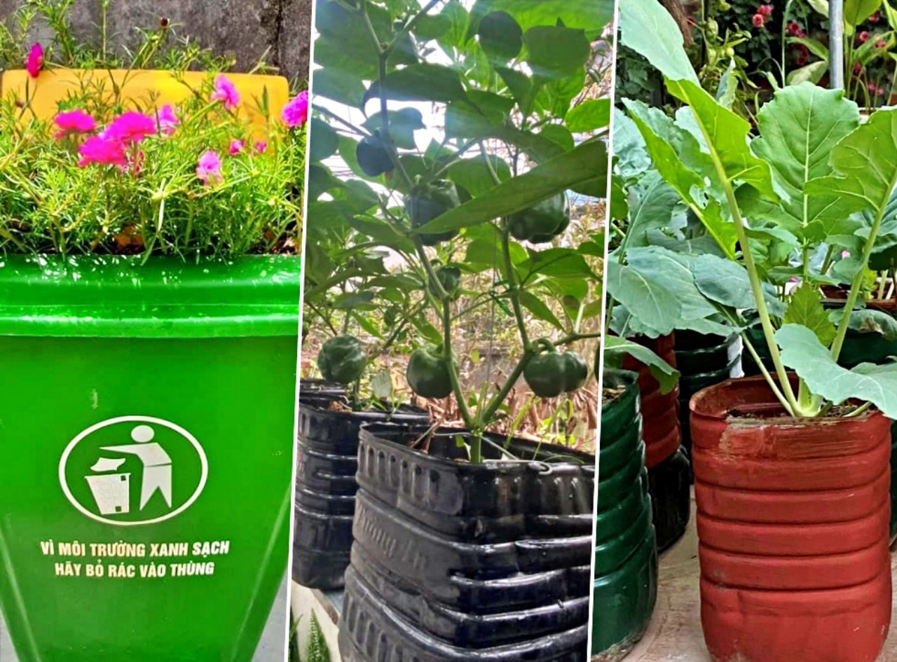 vuon tu rac thai anh 2
