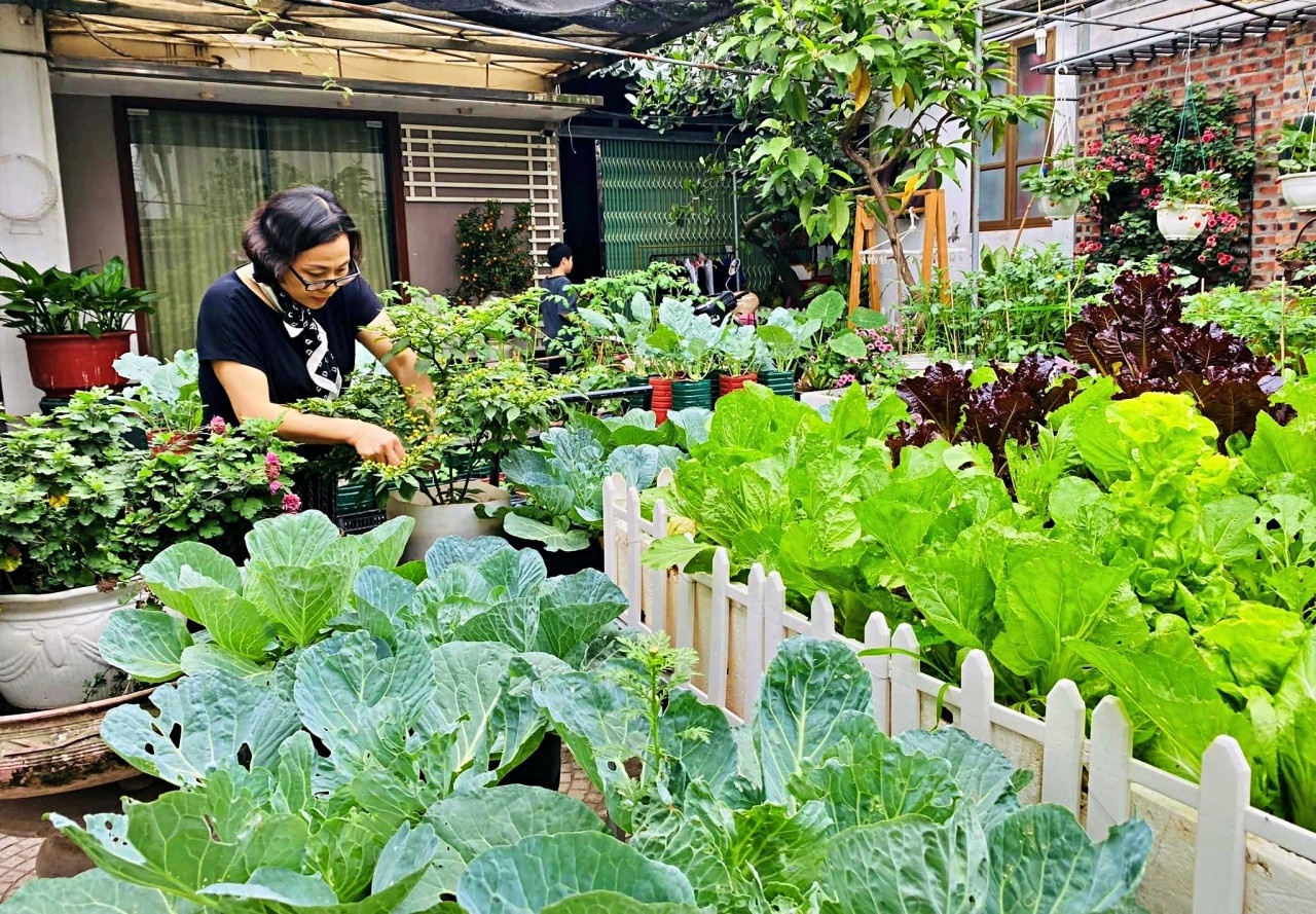 vuon tu rac thai anh 3