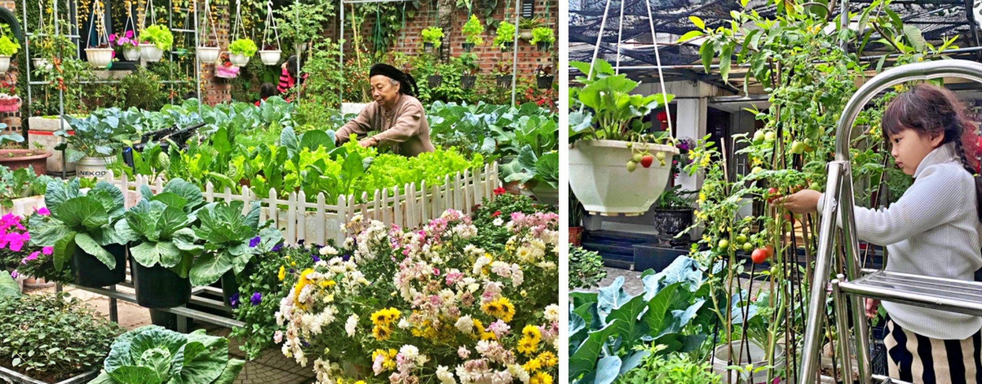 vuon tu rac thai anh 4