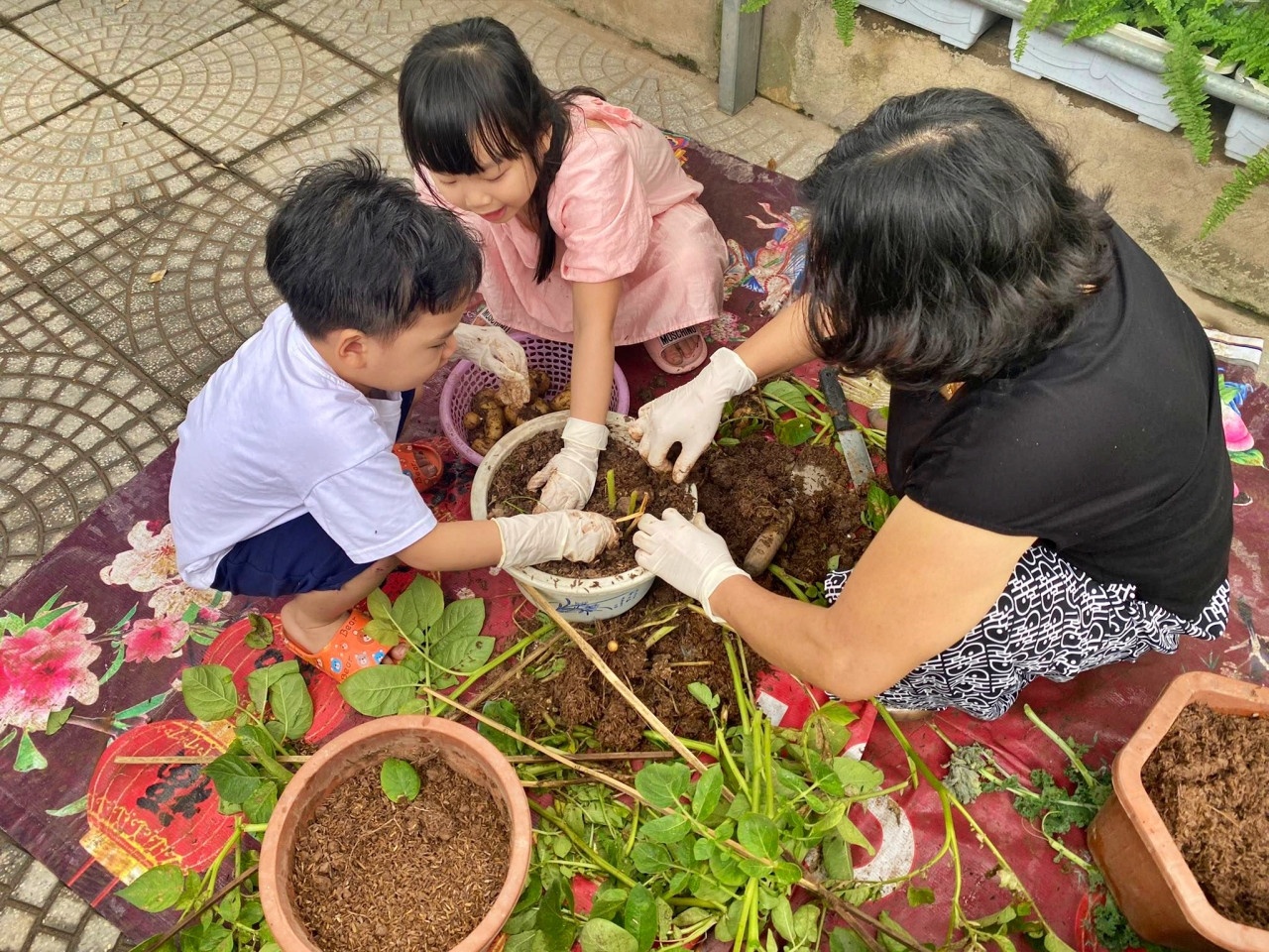 vuon tu rac thai anh 5