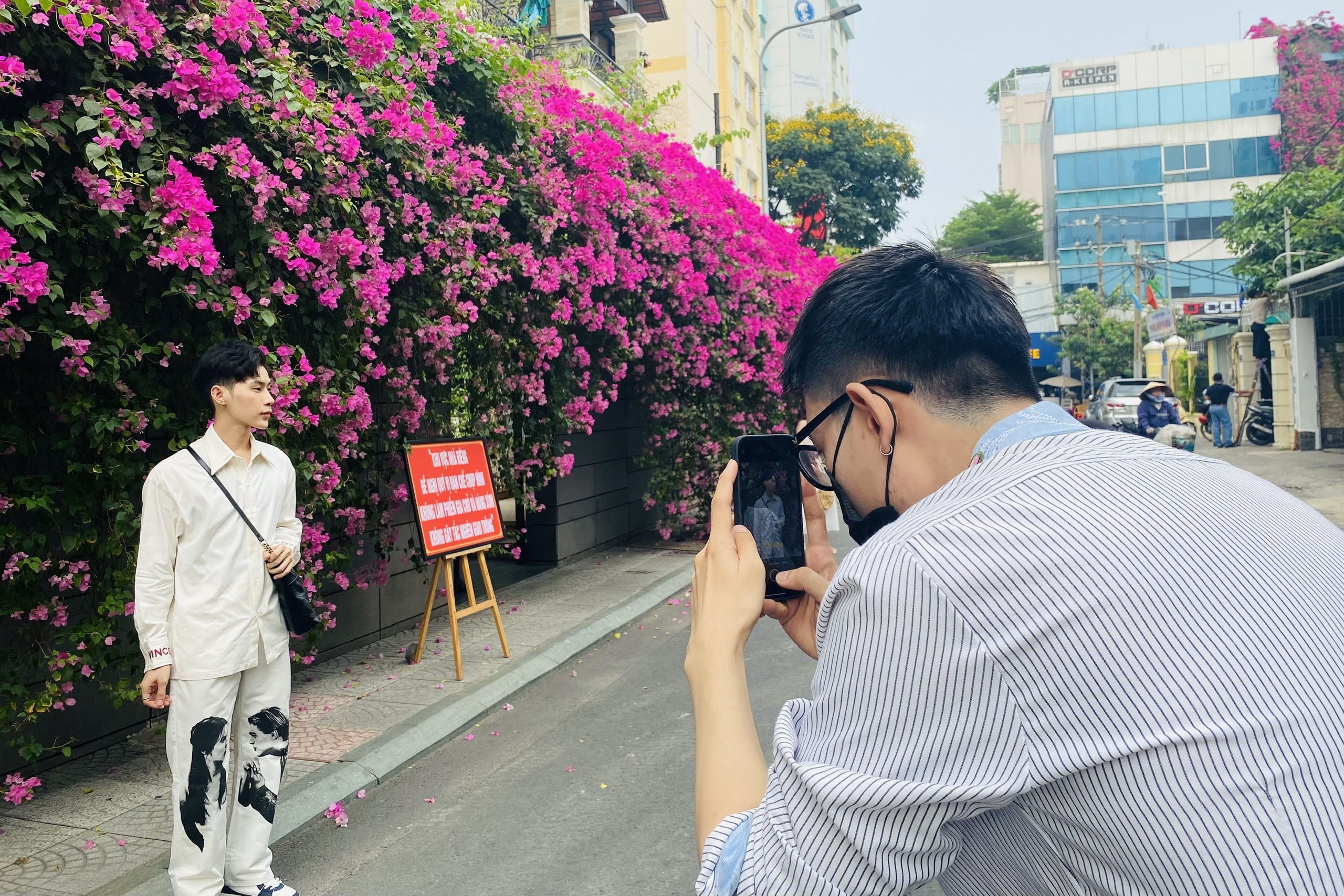 duong hoa giay anh 1