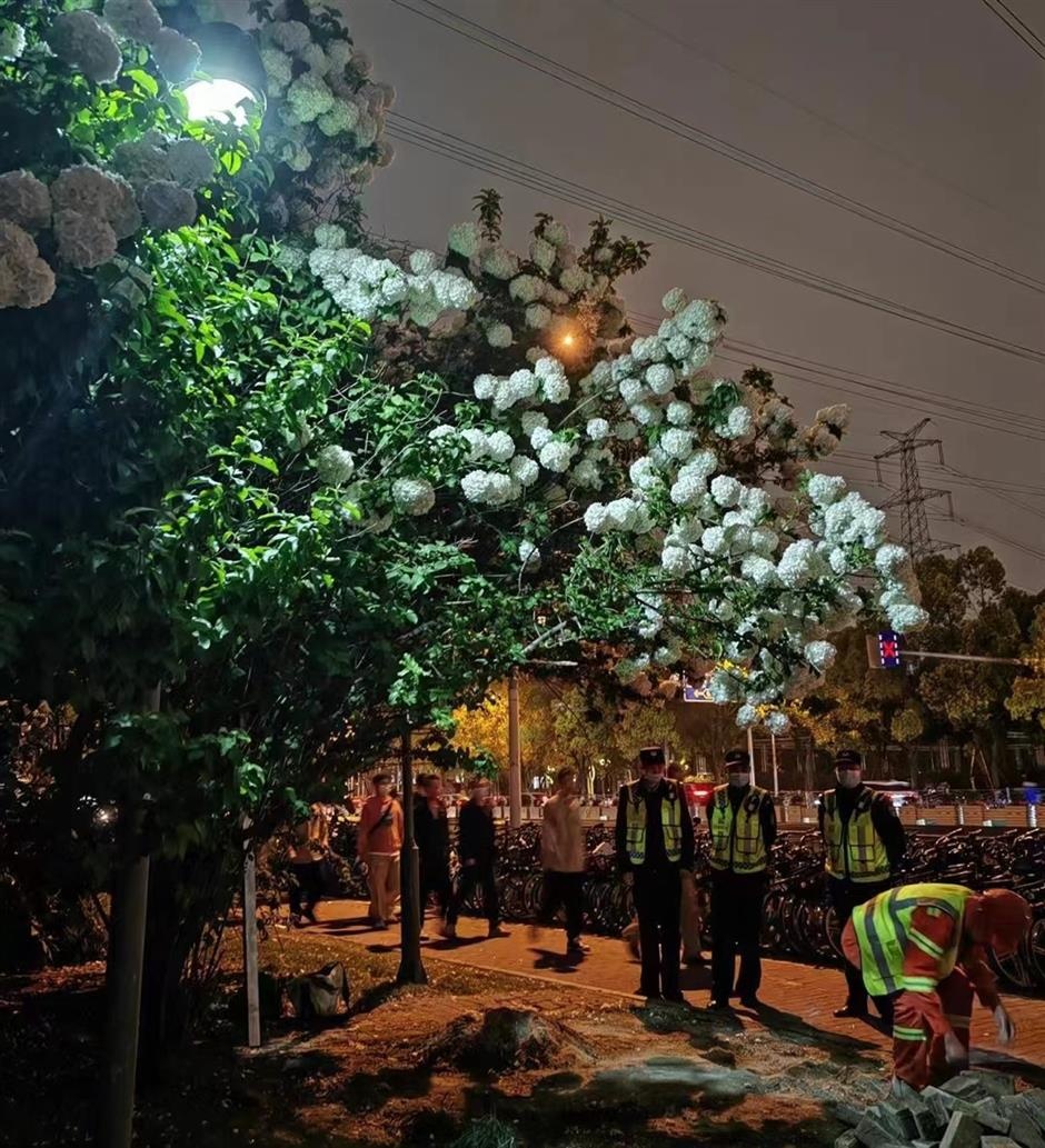 chụp ảnh sống ảo ảnh 2 chup anh song ao anh 2