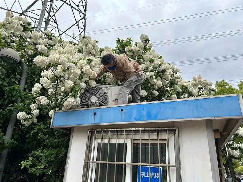 chụp ảnh sống ảo ảnh 1 chup anh song ao anh 1