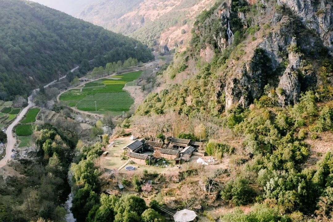 bo pho ve rung anh 5