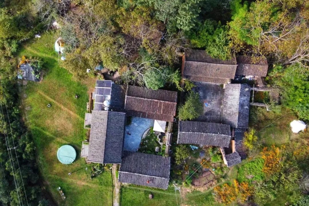 bo pho ve rung anh 6