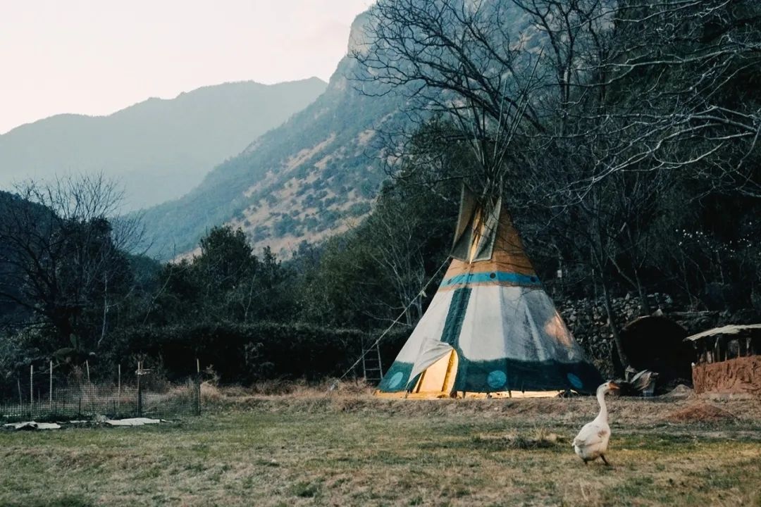 bo pho ve rung anh 9