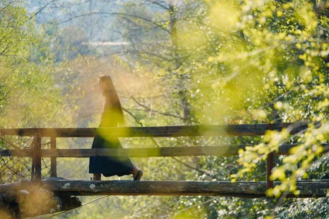 Co gai chon song 6 nam mot minh trong nui hinh anh