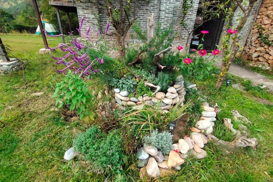 bo pho ve rung anh 4