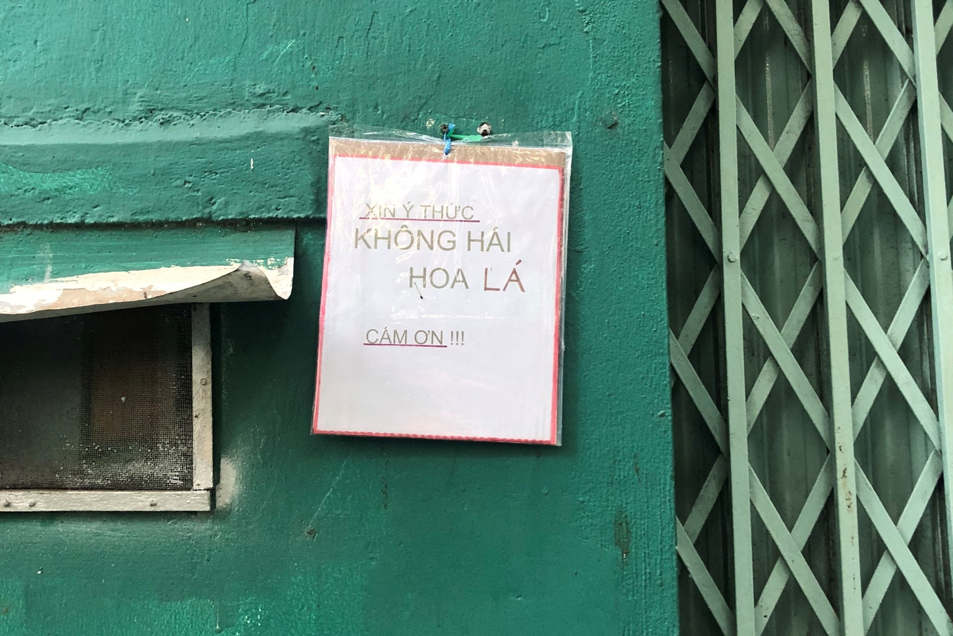 Hẻm cấm chụp hình ảnh 10 Hem cam chup hinh anh 10