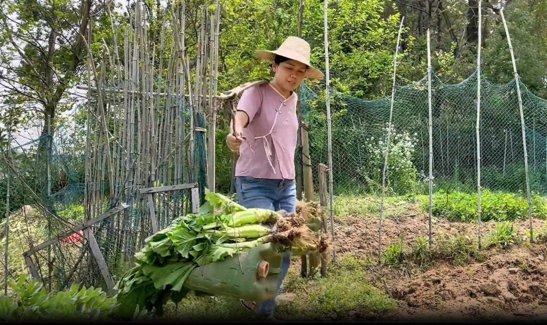 vlog nong thon anh 1