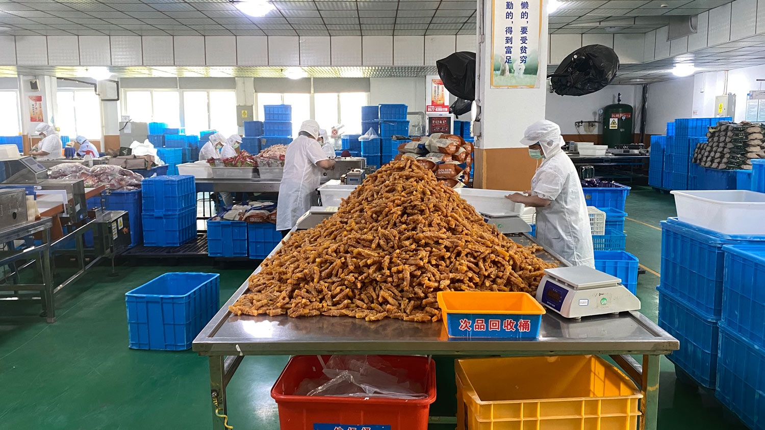 do an thu cung anh 1