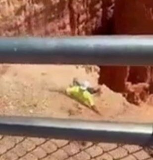 quay clip mao hiem anh 1