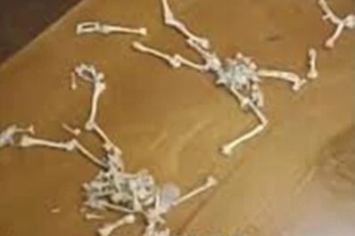 Bi khach nghi an bot nguyen lieu, chu quan TQ ngoi xep lai xuong ech hinh anh