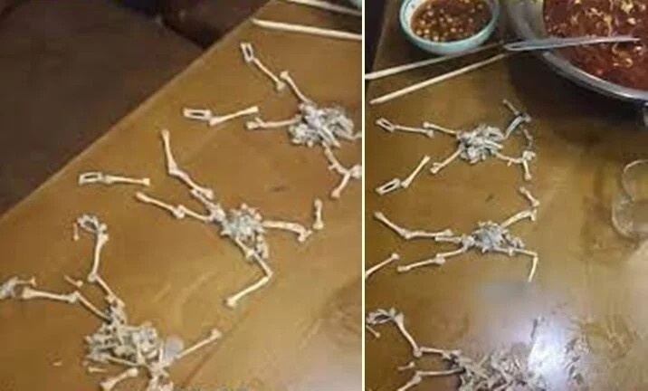 quan an bi phot anh 1