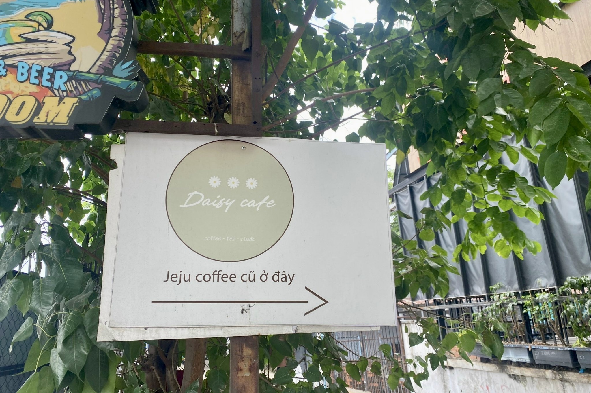 ca phe check in anh 1