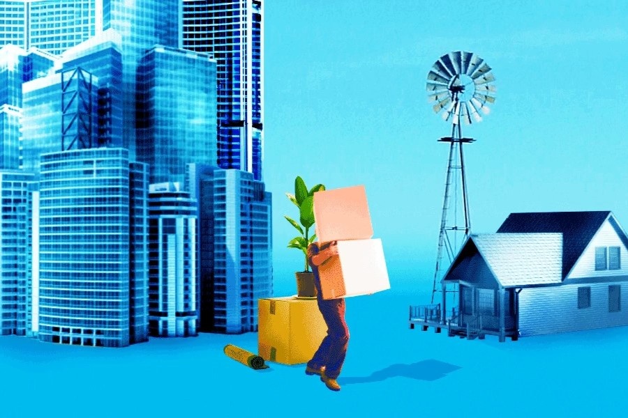 Cai gia dat cua nhung nguoi 'bo pho' hinh anh