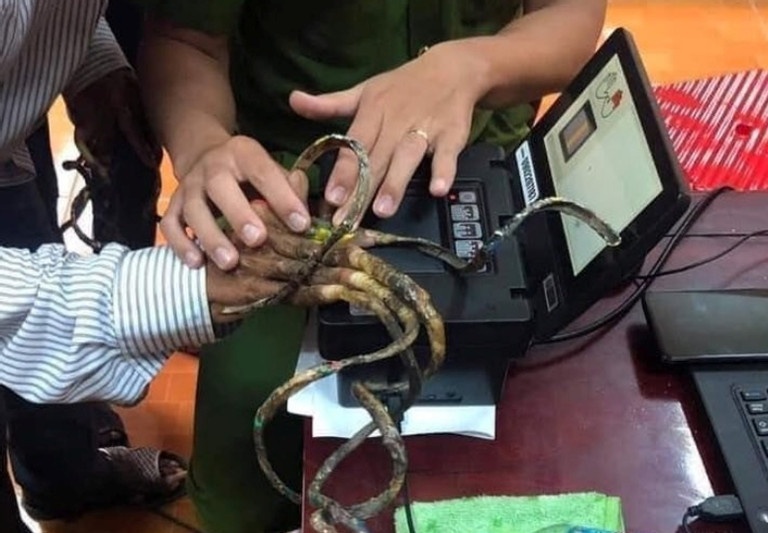 móng tay siêu dài ảnh 3 mong tay sieu dai anh 3