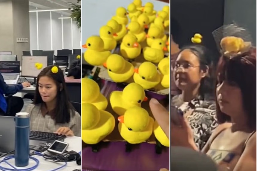 Giai ma con sot vit vang o Philippines hinh anh