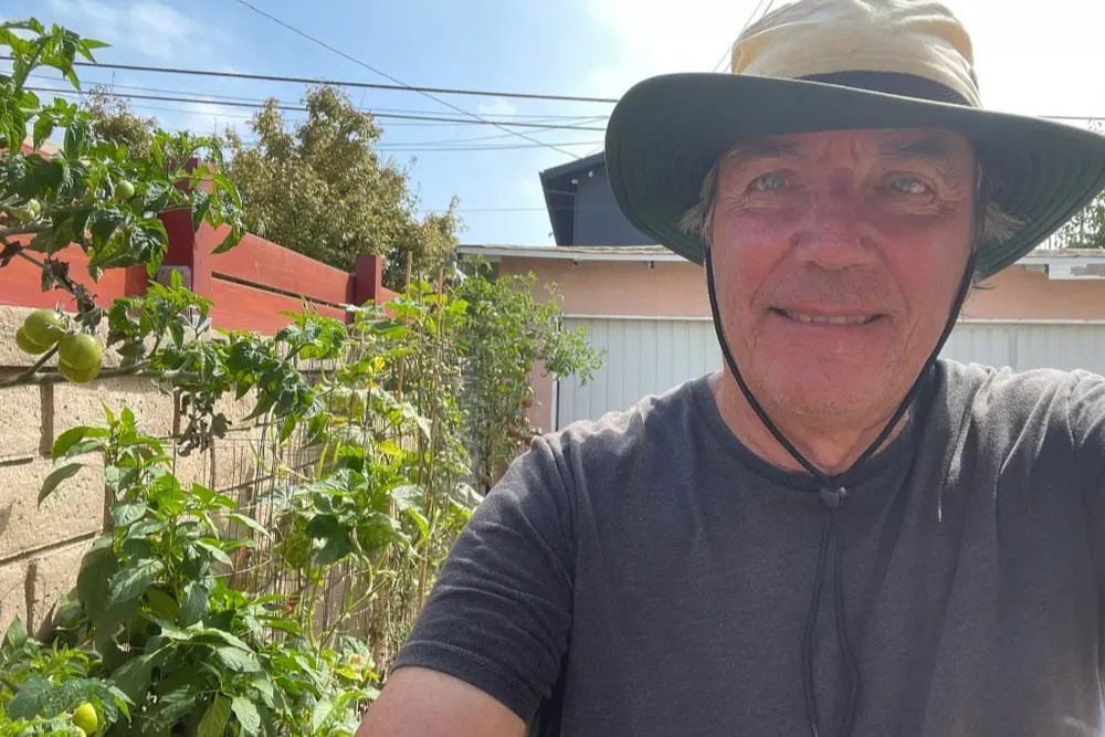 gia ca tang cao anh 2