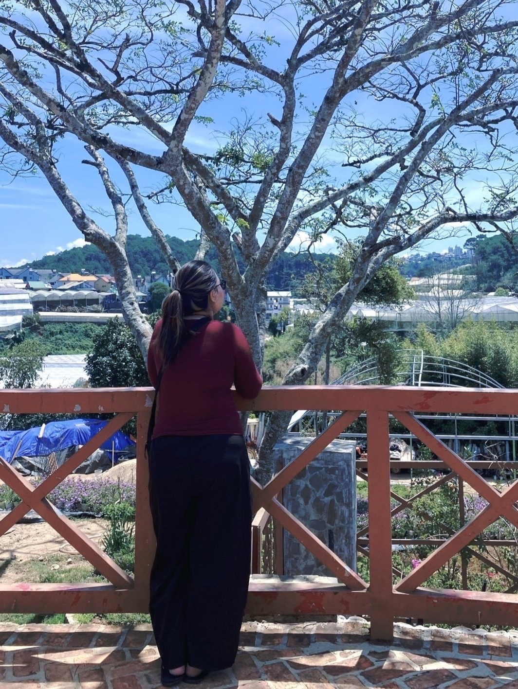 giup viec nghi anh 3