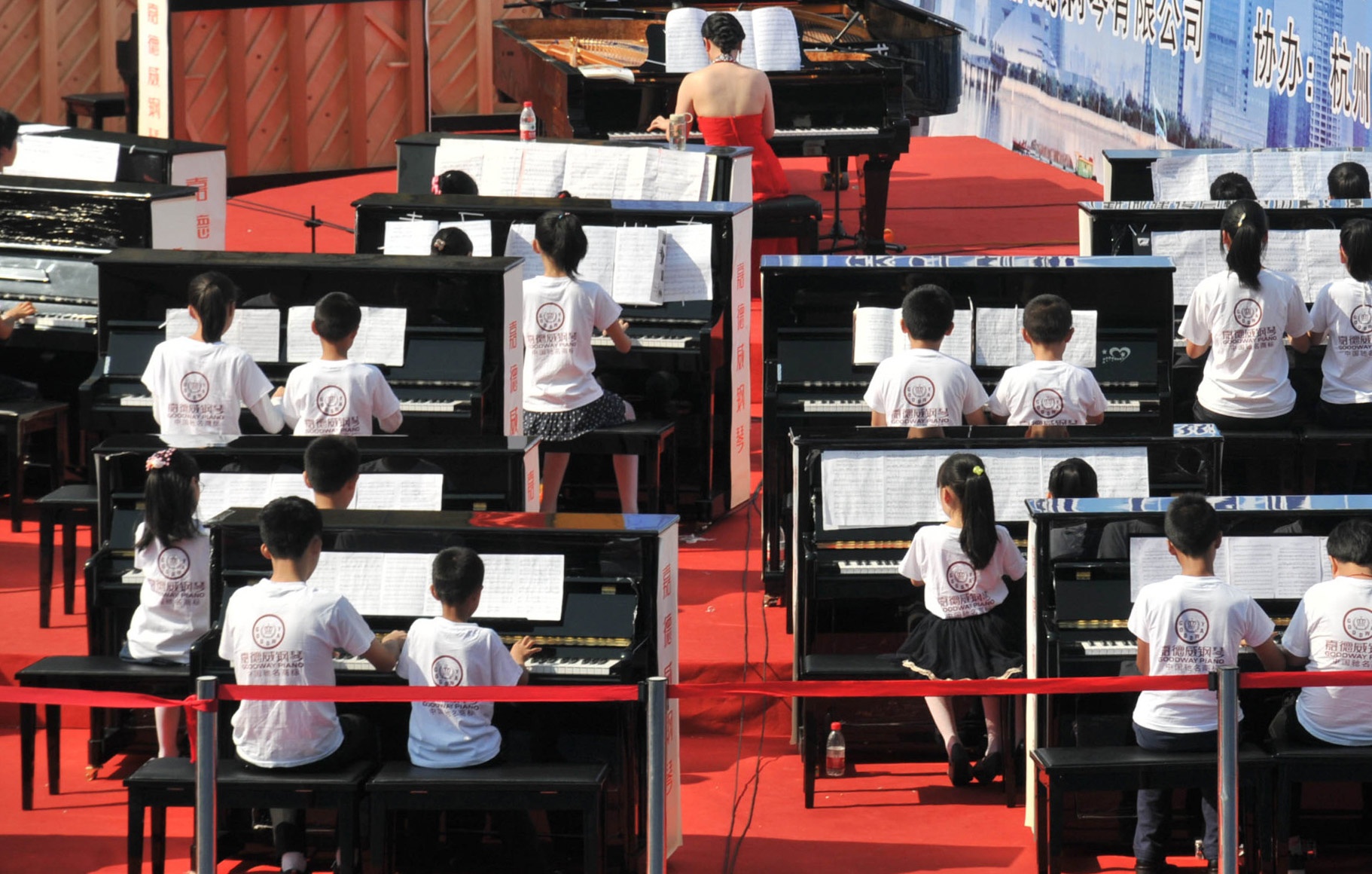 nuoi con ton kem anh 1