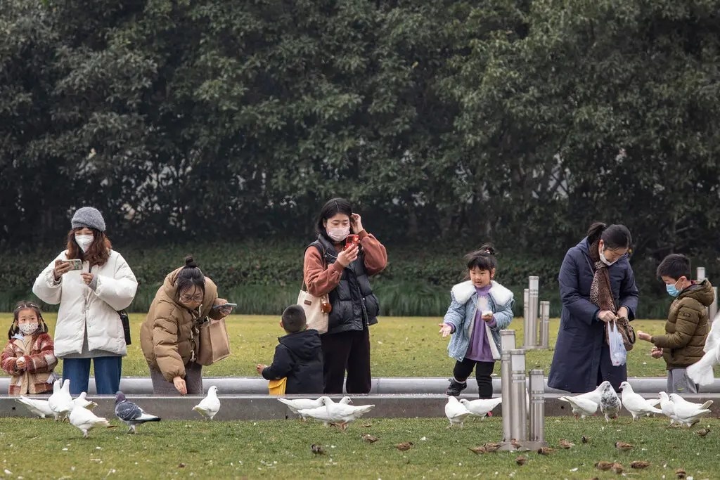 Chi phi nuoi con gay choang vang o Trung Quoc hinh anh