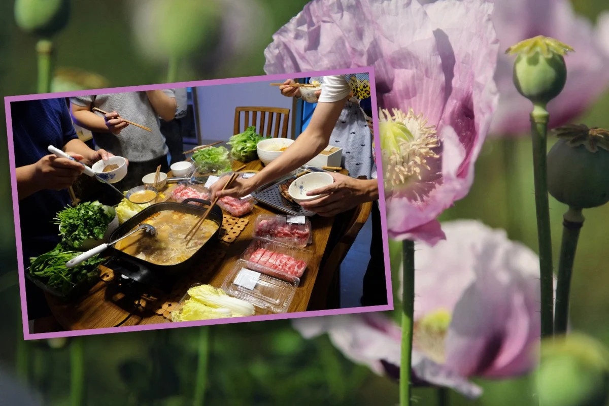 trong cay thuoc phien anh 1