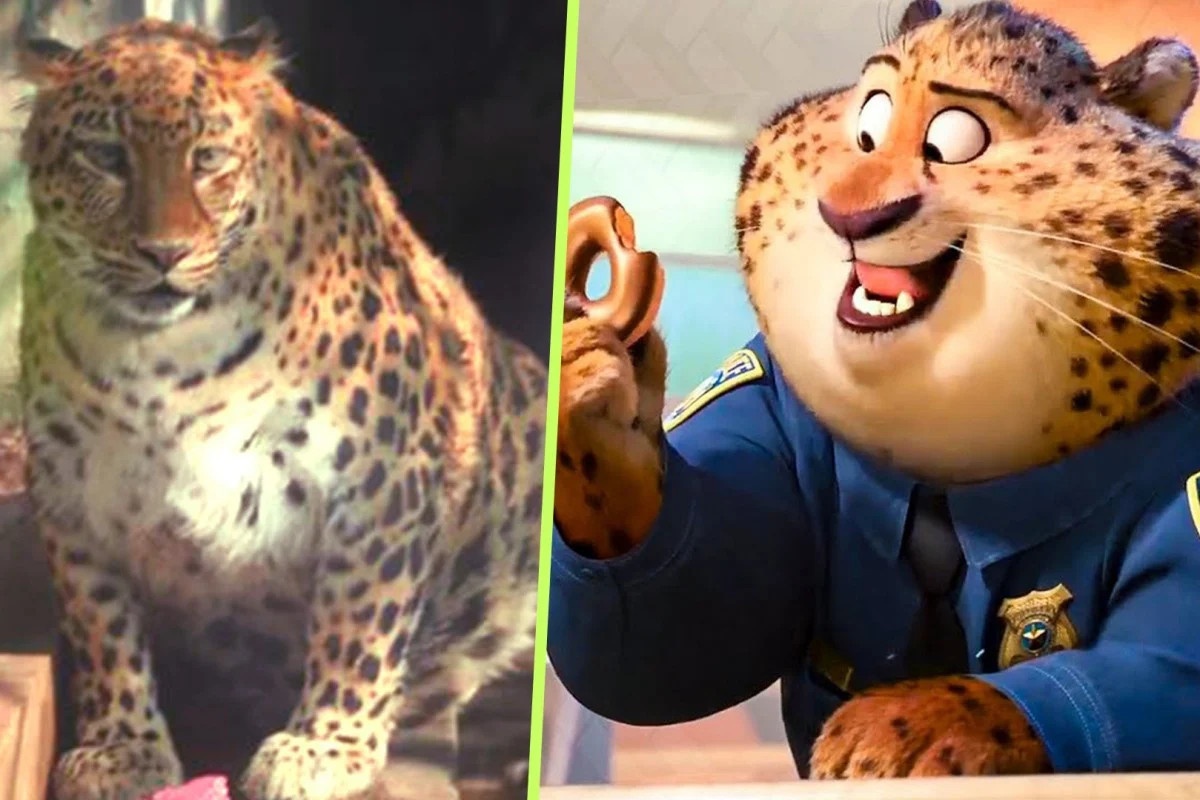 con thu thua can anh 1