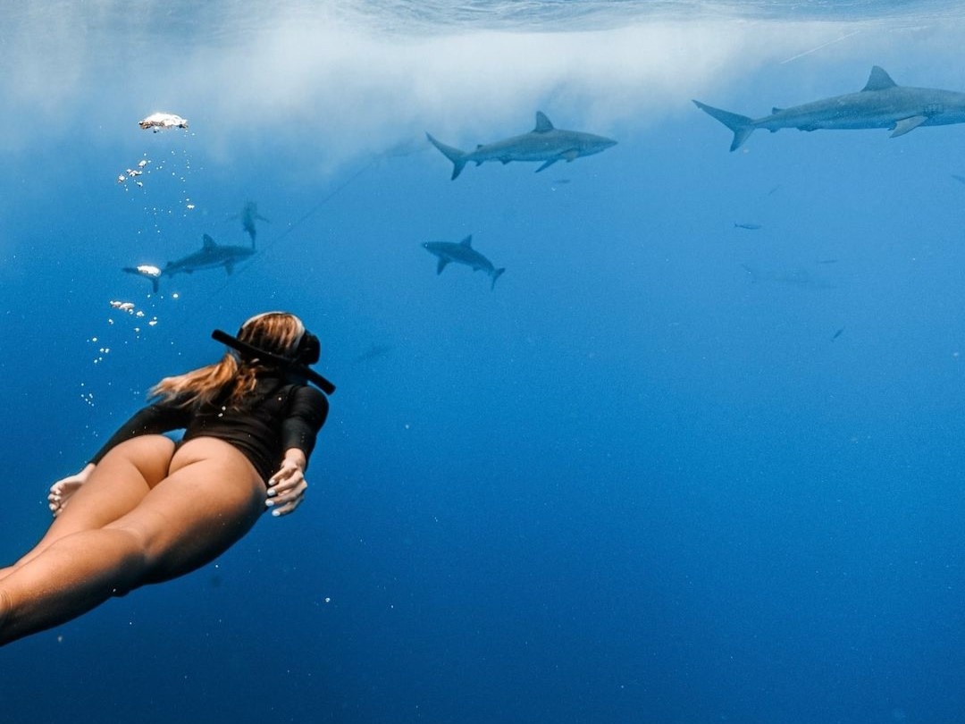 van dong vien nong bong anh 1