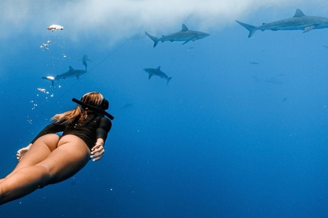 Khoanh khac gay sot cua 'VDV bong chuyen quyen ru nhat hanh tinh' hinh anh