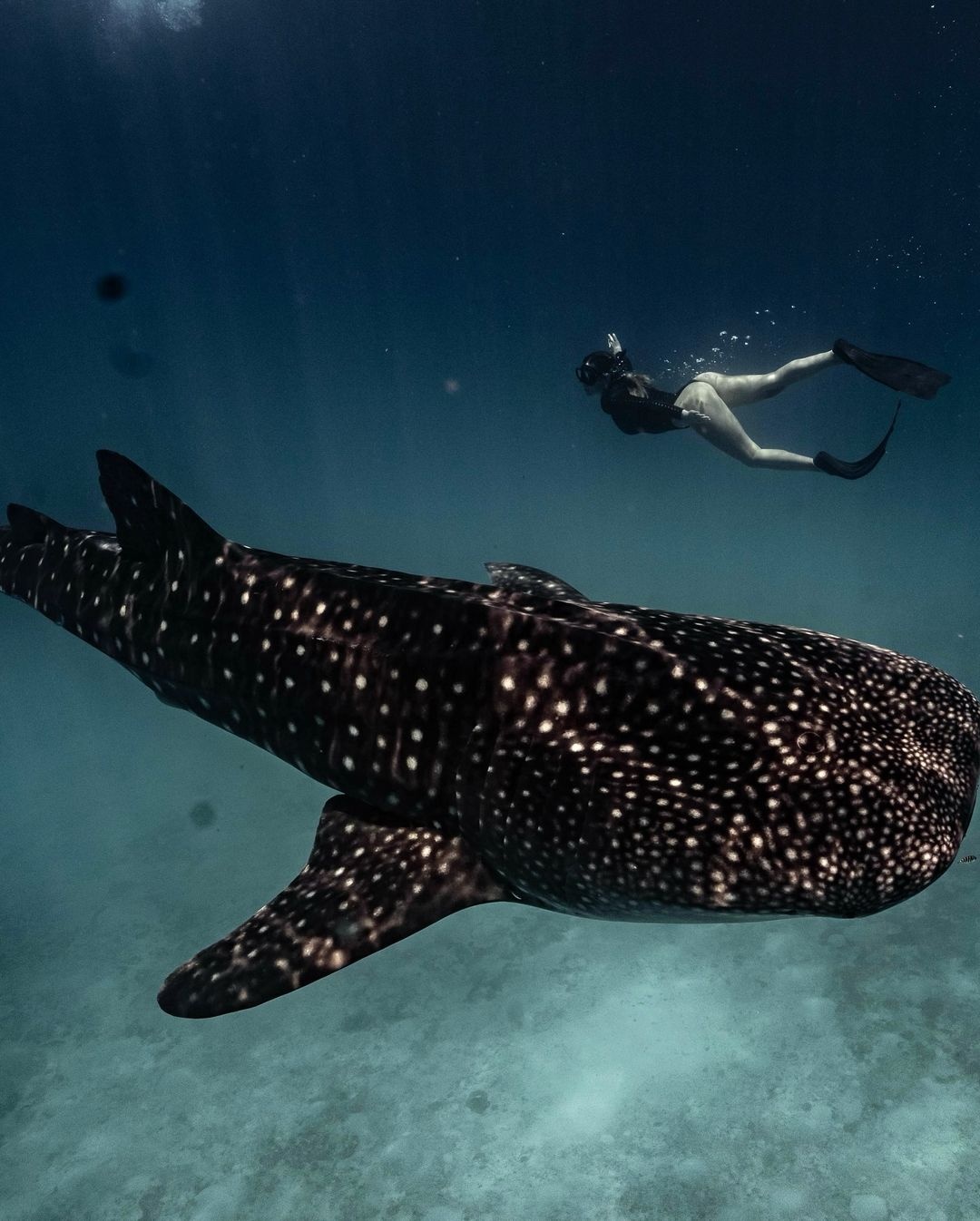 van dong vien nong bong anh 3