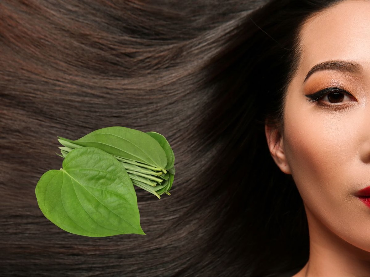 cách trị rụng tóc ảnh 1 cach tri rung toc anh 1