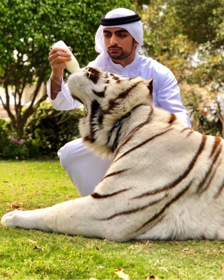 cong chua dubai ly hon anh 6