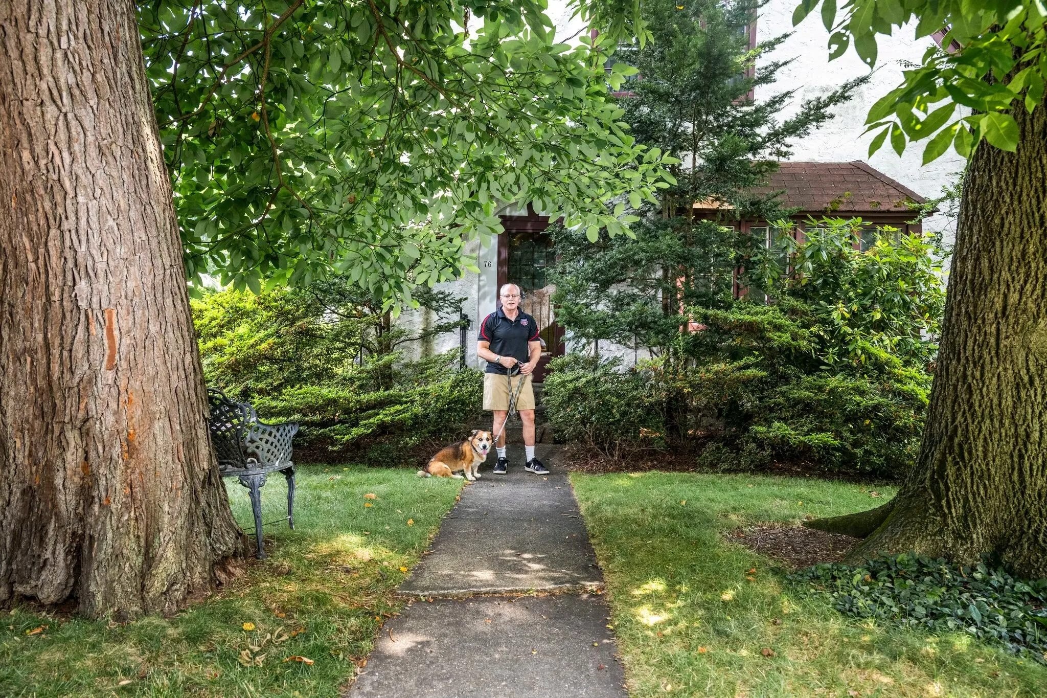 Luat chat cay moi chia re thi tran giau co o New York hinh anh