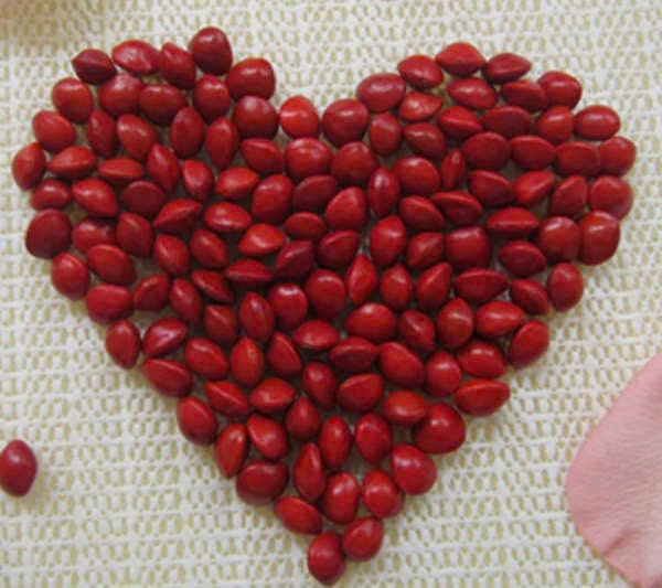 chè đậu đỏ thất tịch ảnh 1 che dau do that tich anh 1