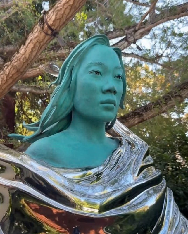 Mark Zuckerberg dung tuong vo anh 3