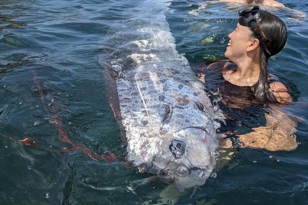 'Ca ngay tan the' xuat hien ngay truoc con dong dat o My hinh anh